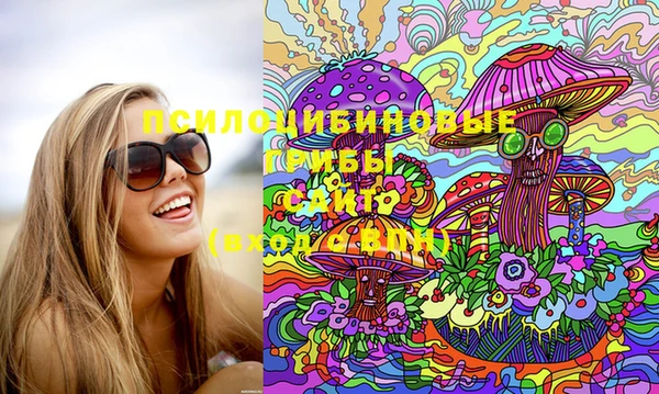 круглые Алзамай