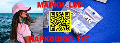 твердый Бердск