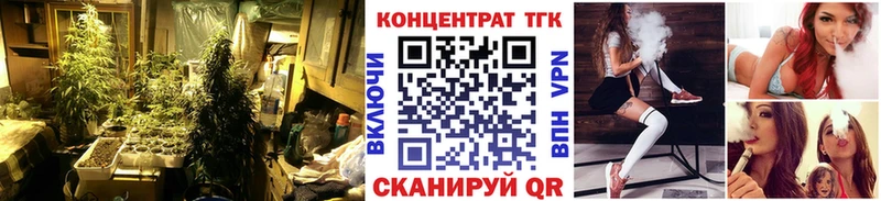 ТГК гашишное масло Борзя