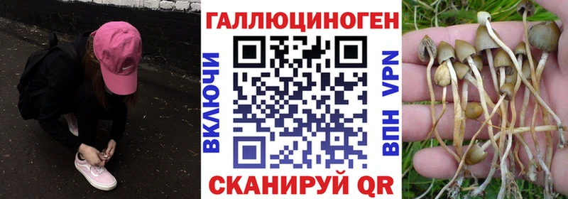 Галлюциногенные грибы Psilocybine cubensis  что такое наркотик  Борзя 