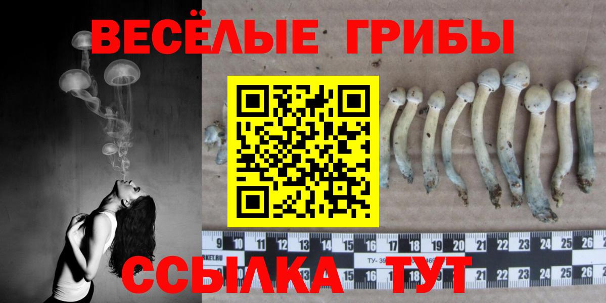 Галлюциногенные грибы GOLDEN TEACHER  Вход с VPN  Борзя 