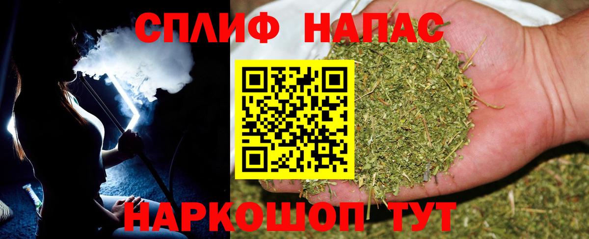 Канабис сатива Борзя